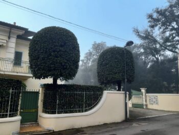 Abitazione residenziale con due alberi curati