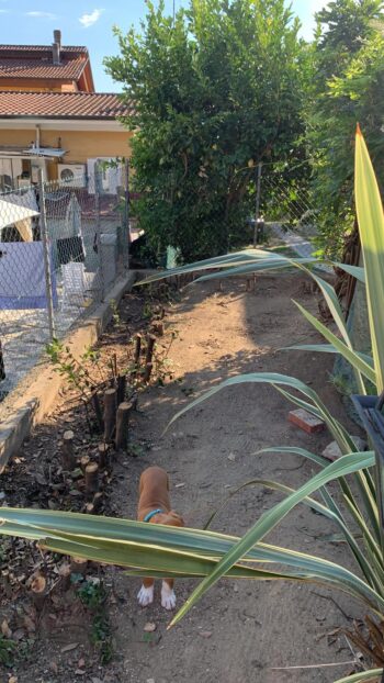 Lavorazione in corso di un giardino