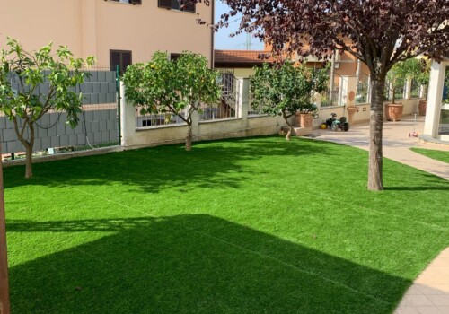 Prato sintetico su retro cortile con piante