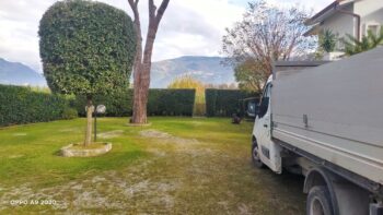 Ampio cortile con albero curato circondato da alte siepi
