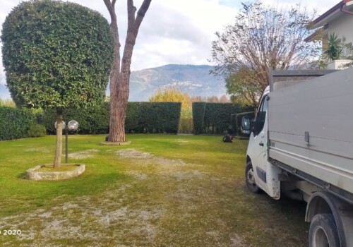 Ampio cortile con albero curato circondato da alte siepi