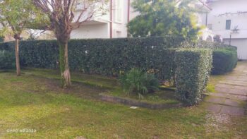 Villetta a schiera bianca con siepi e alberi curati