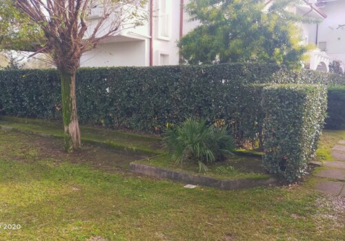 Villetta a schiera bianca con siepi e alberi curati