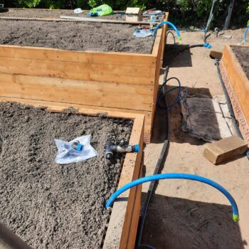 Processo di irrigazione di un giardino