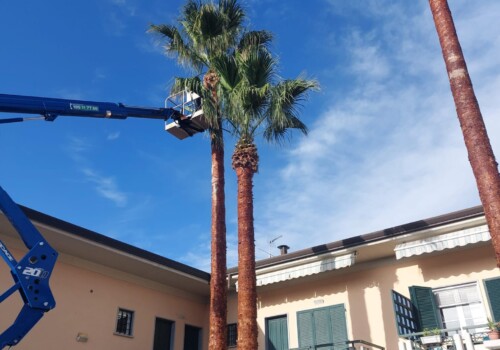 Villetta con tre palme giganti